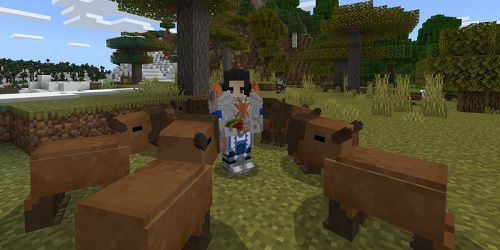 Capybaras Add-on 1.20+