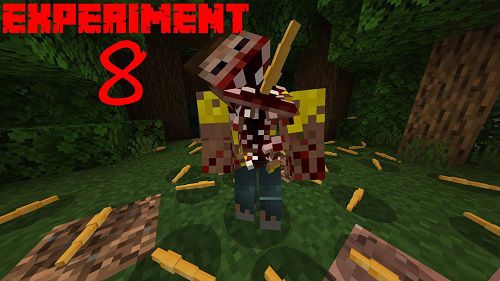 Experiment 8 BETA Add-on 1.20+