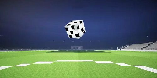 Football - Soccer: Player Ball (1)